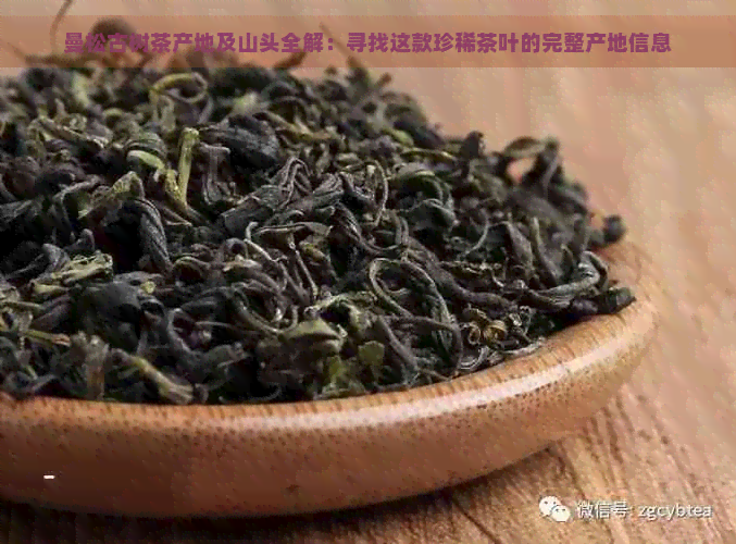 曼松古树茶产地及山头全解：寻找这款珍稀茶叶的完整产地信息