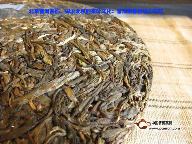 北京普洱茶都，探索北京的茶叶文化：普洱茶都的魅力所在