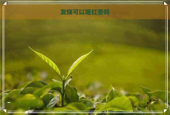 发烧可以喝红茶吗