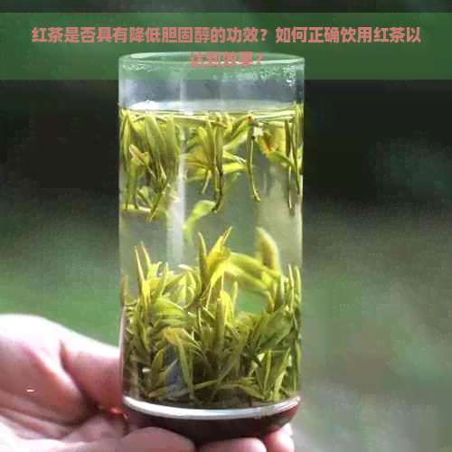 红茶是否具有降低胆固醇的功效？如何正确饮用红茶以达到效果？