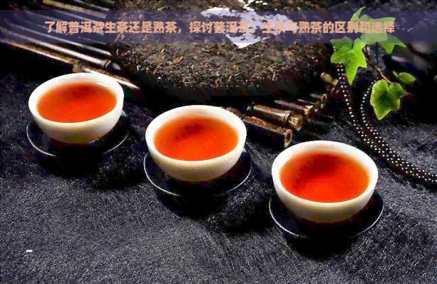 了解普洱茶生茶还是熟茶，探讨普洱茶：生茶与熟茶的区别和选择