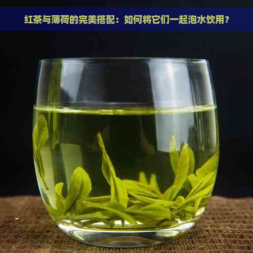 红茶与薄荷的完美搭配：如何将它们一起泡水饮用？