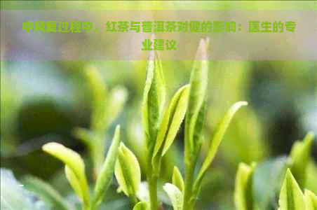 中风复过程中，红茶与普洱茶对健的影响：医生的专业建议