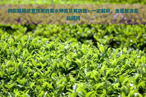 例假期间适宜饮用的茶水种类及其功效：一次解析，全面解决您的疑问