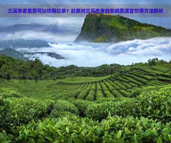 三高患者是否可以饮用红茶？红茶对三高患者的影响及适宜饮用方法解析