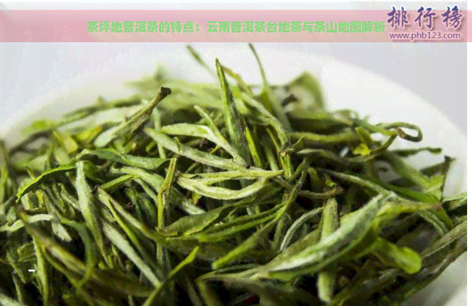 茶坪地普洱茶的特点：云南普洱茶台地茶与茶山地图解析