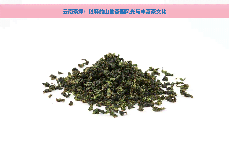 云南茶坪：独特的山地茶园风光与丰富茶文化