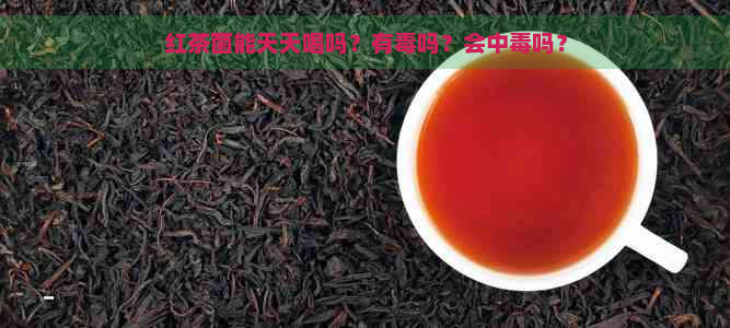 红茶菌能天天喝吗？有吗？会中吗？