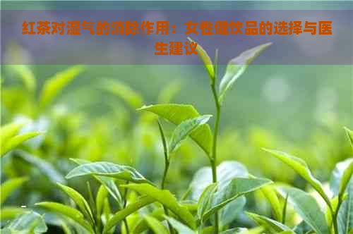 红茶对湿气的消除作用：女性健饮品的选择与医生建议