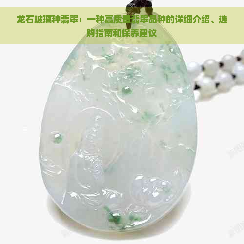 龙石玻璃种翡翠：一种高质量翡翠品种的详细介绍、选购指南和保养建议
