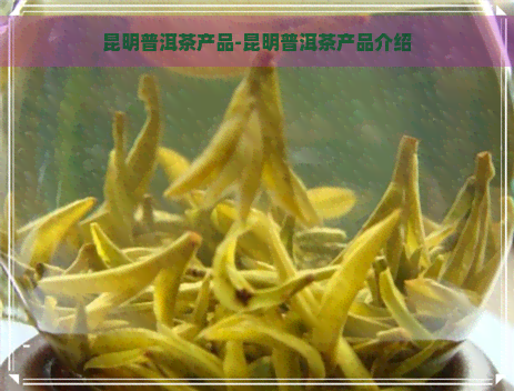 昆明普洱茶产品-昆明普洱茶产品介绍