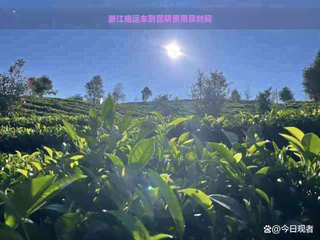 浙江拖运车到昆明费用及时间