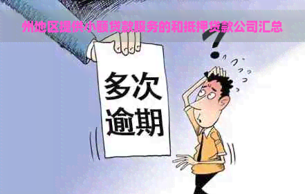 州地区提供小额贷款服务的和抵押贷款公司汇总