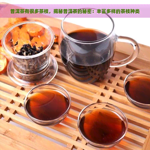 普洱茶有很多茶枝，揭秘普洱茶的秘密：丰富多样的茶枝种类