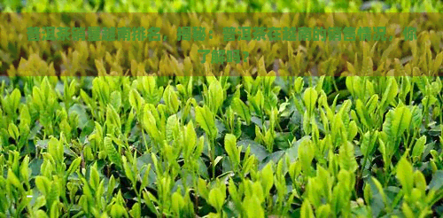 普洱茶销量越南排名，揭秘：普洱茶在越南的销售情况，你了解吗？