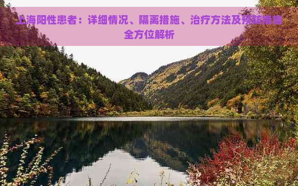 上海阳性患者：详细情况、隔离措施、治疗方法及预防措施全方位解析