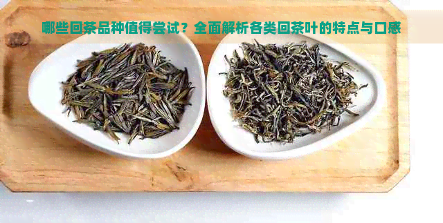 哪些回茶品种值得尝试？全面解析各类回茶叶的特点与口感