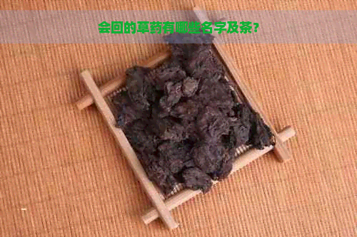 会回的草药有哪些名字及茶？