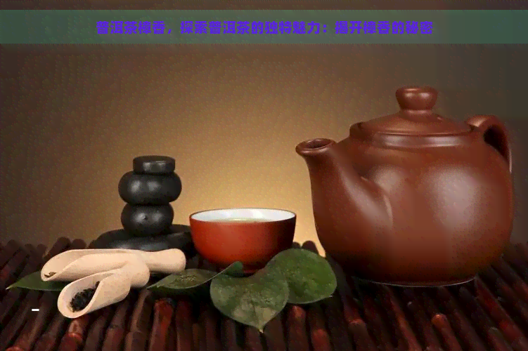 普洱茶樟香，探索普洱茶的独特魅力：揭开樟香的秘密