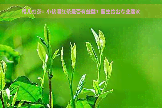 福儿红茶：小孩喝红茶是否有益健？医生给出专业建议