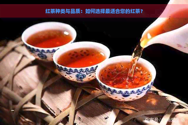 红茶种类与品质：如何选择最适合您的红茶？