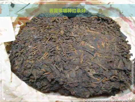 养胃喝哪种红茶好