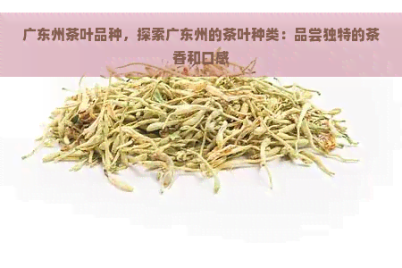 广东州茶叶品种，探索广东州的茶叶种类：品尝独特的茶香和口感