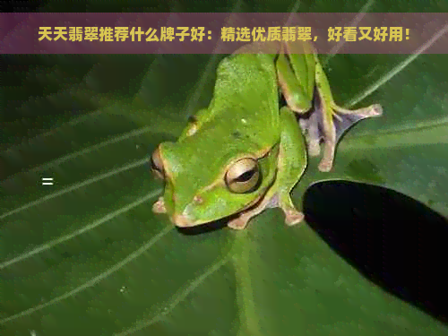 天天翡翠推荐什么牌子好：精选优质翡翠，好看又好用！