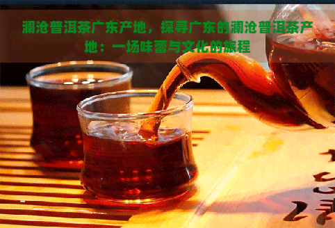 澜沧普洱茶广东产地，探寻广东的澜沧普洱茶产地：一场味蕾与文化的旅程