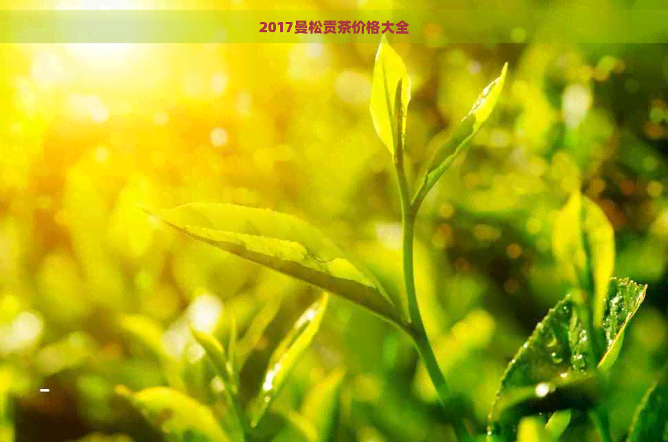 2017曼松贡茶价格大全