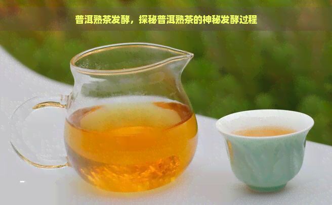 普洱熟茶发酵，探秘普洱熟茶的神秘发酵过程