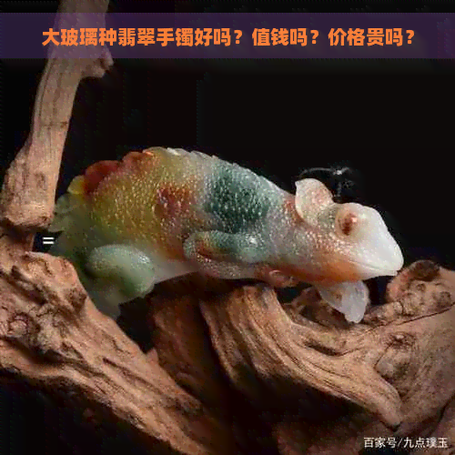 大玻璃种翡翠手镯好吗？值钱吗？价格贵吗？