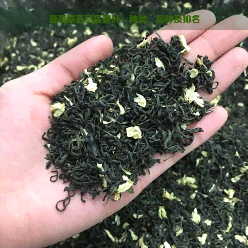 普洱茶高品质茶叶：种类、品种及排名
