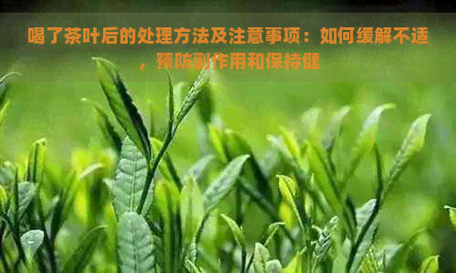 喝了茶叶后的处理方法及注意事项：如何缓解不适，预防副作用和保持健