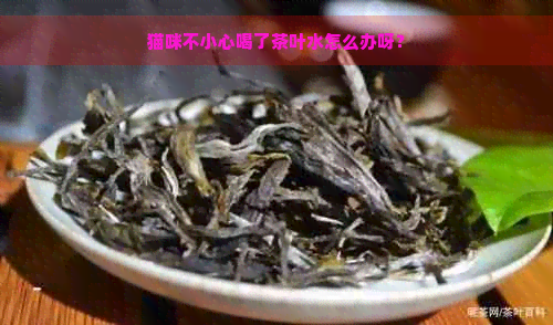 猫咪不小心喝了茶叶水怎么办呀？