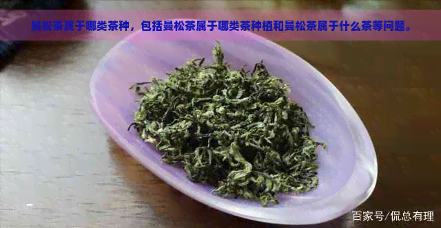 曼松茶属于哪类茶种，包括曼松茶属于哪类茶种植和曼松茶属于什么茶等问题。