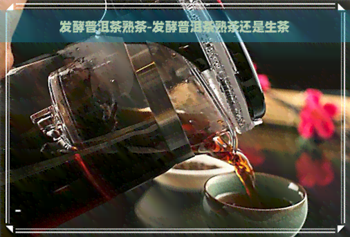 发酵普洱茶熟茶-发酵普洱茶熟茶还是生茶