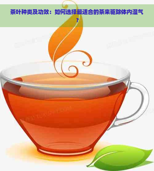 茶叶种类及功效：如何选择最适合的茶来驱除体内湿气？