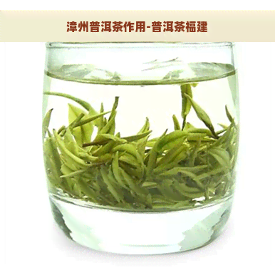 漳州普洱茶作用-普洱茶福建
