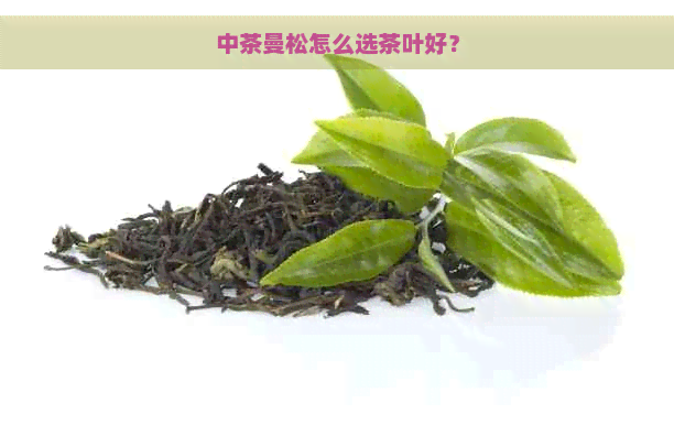 中茶曼松怎么选茶叶好？