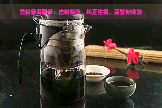 曼松普洱圆茶：古树茶韵，纯正生香，品鉴新体验