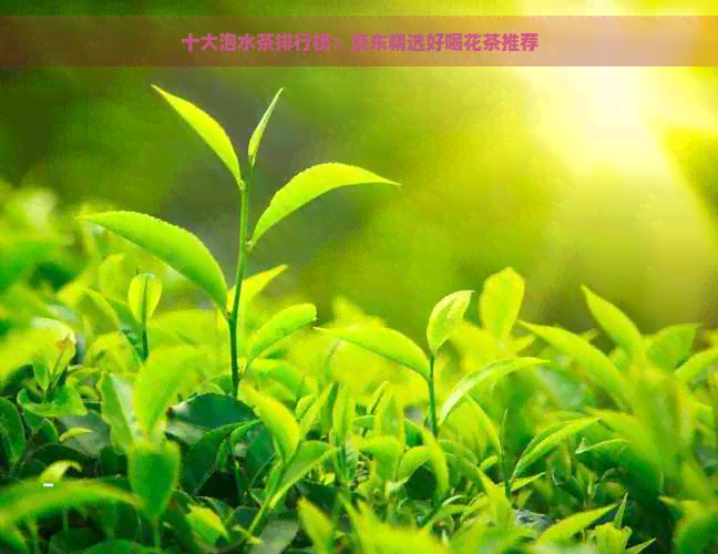 十大泡水茶排行榜：京东精选好喝花茶推荐