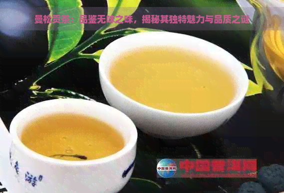 曼松贡茶：品鉴无味之味，揭秘其独特魅力与品质之谜