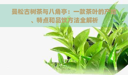 曼松古树茶与八角亭：一款茶叶的产地、特点和品饮方法全解析