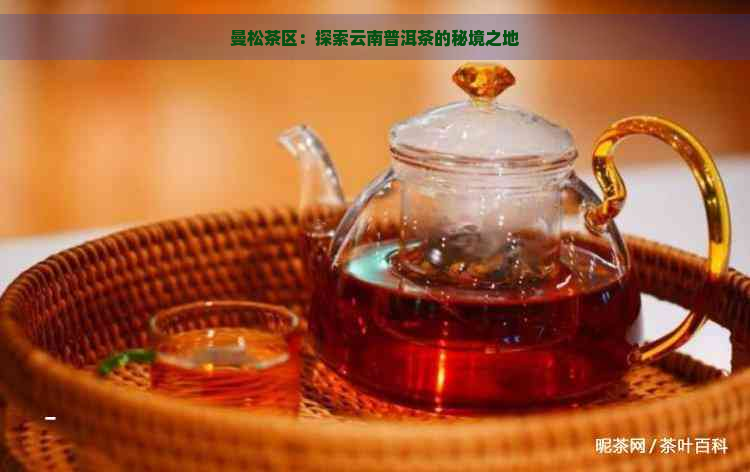 曼松茶区：探索云南普洱茶的秘境之地