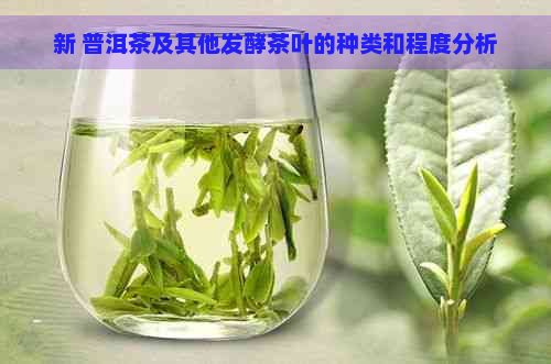 新 普洱茶及其他发酵茶叶的种类和程度分析