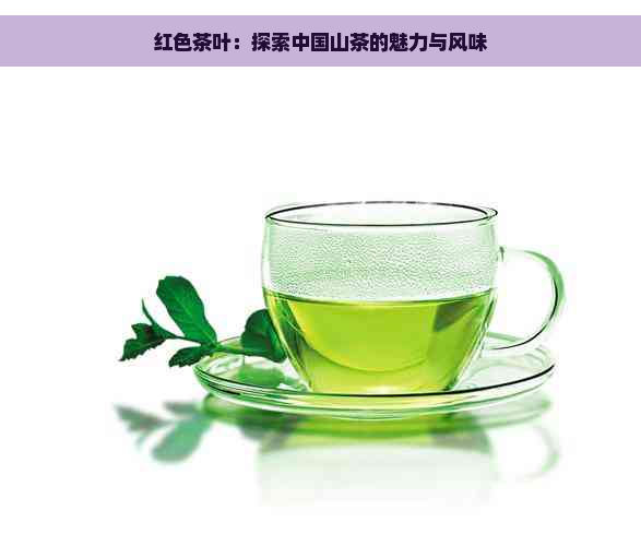 红色茶叶：探索中国山茶的魅力与风味