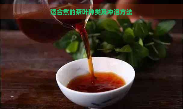 适合煮的茶叶种类及冲泡方法