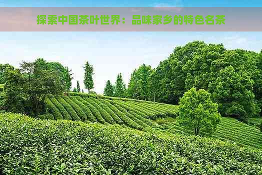 探索中国茶叶世界：品味家乡的特色名茶