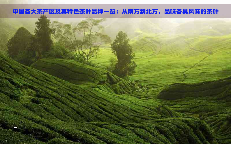 中国各大茶产区及其特色茶叶品种一览：从南方到北方，品味各具风味的茶叶